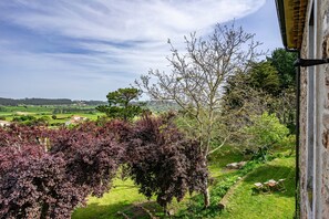Property grounds - Casa Rural Selmo in the Heart of Asturias (Zancornio)