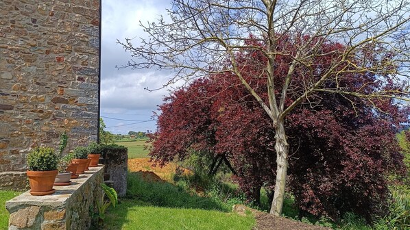 Àrea exterior de l'allotjament