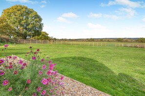 المنطقة المحيطة بالمنشأة