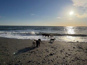 Plage