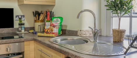 Oven, cookware/dishes/utensils