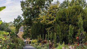 Ein Gartenweg mit verschiedenen Pflanzen und Blumen, der zu einem Gebäude mit Ziegelaußenwand führt.