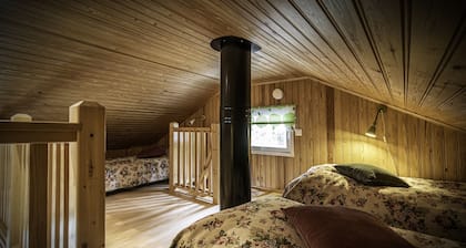 Juhlamenot Cabin 4 people, Garden view, Fireplace