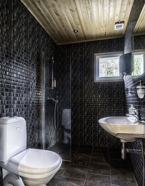 Et moderne badeværelse med bruser, toilet og håndvask.