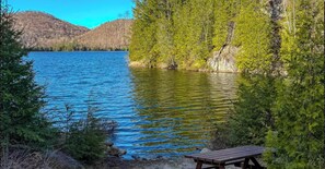 Property grounds - NEW! Luxe Chalet - Hot Tub, Sauna & Lake Access (Amherst)