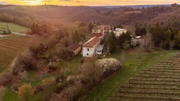 Un paysage rural avec une grande maison entourée de champs et d’arbres.