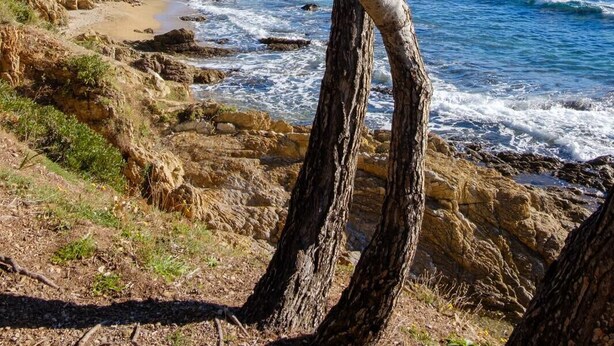 A coastal landscape with rocky terrain and trees. - Bright studio close to the beach in Roquebrune (Roquebrune-sur-Argens)