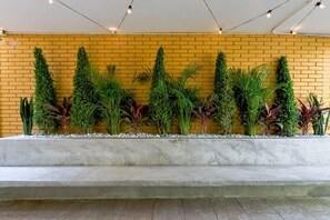 Property grounds - Casa Ebba|Loft B|Vive el encanto de Barrio Antiguo (Monterrey)