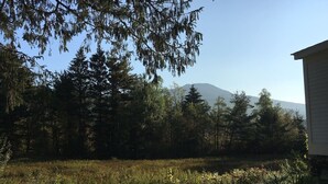 A grassy area with trees and a mountain in the background. - cozy home with mountain views. (Dorset)