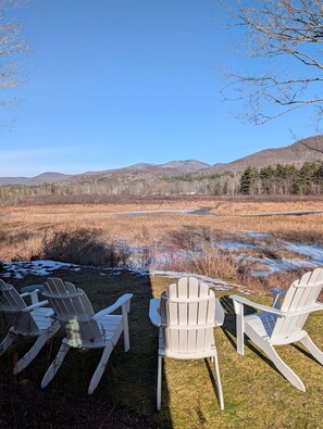 Property grounds - Glorious Mountain View in Dorset (Dorset)