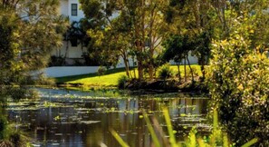 Property grounds - Modern Beach Oasis: Marcoola (Marcoola)
