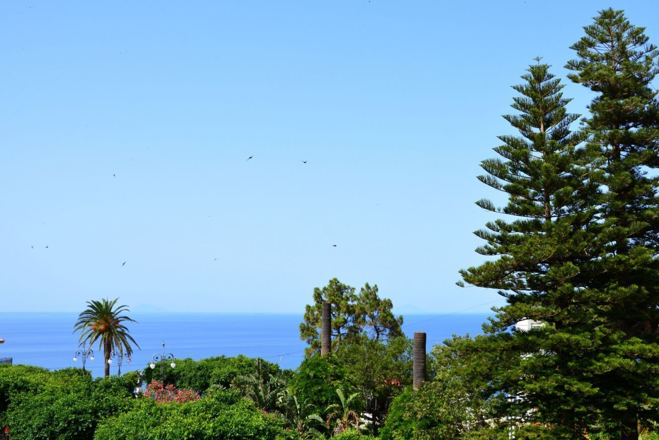 A coastal landscape with dense greenery, a clear sky, and the ocean in the background.