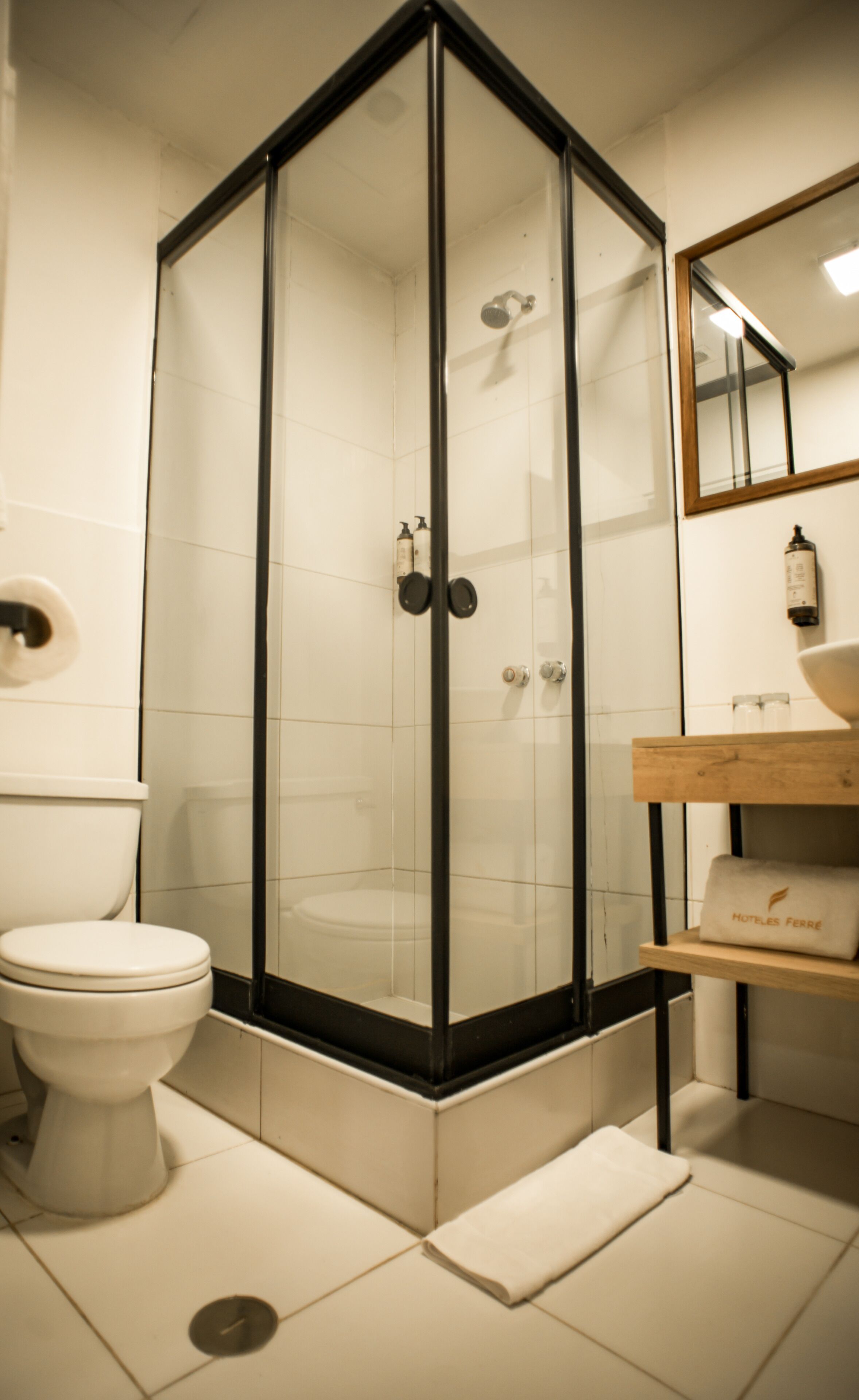 A modern bathroom with a glass-enclosed shower, a toilet, and a wooden vanity with a mirror.