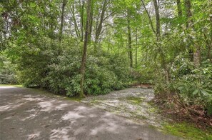 Property grounds - Cozy mountain retreat between Highlands and Cashiers! (Highlands)