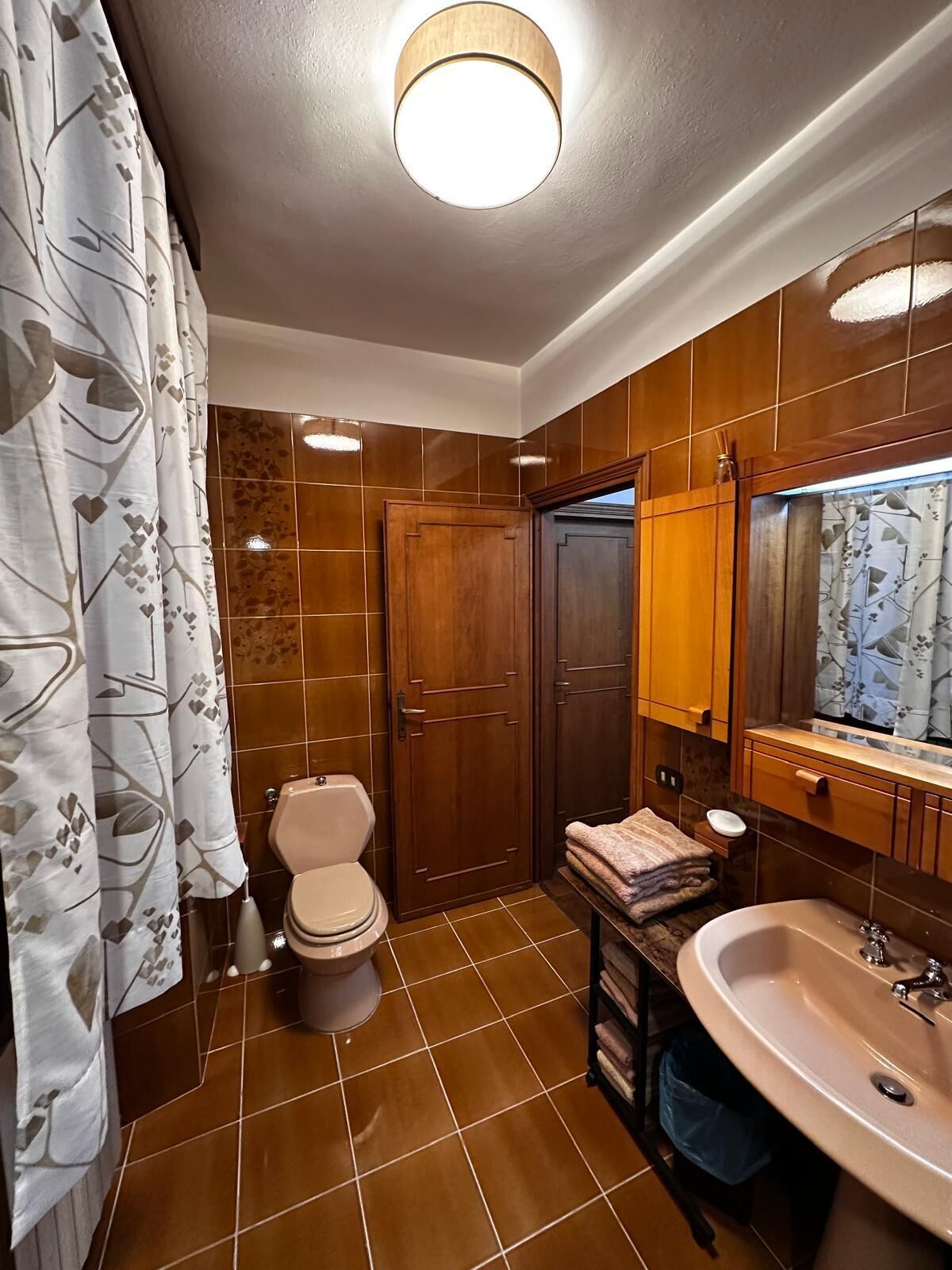 Un baño con inodoro, lavamanos y zona de ducha.