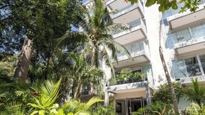 A modern building with multiple balconies and a lush garden with palm trees and tropical plants. - Beautiful view and location, roof terrace with sea view! (Playa del Carmen)