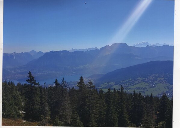 Diverse