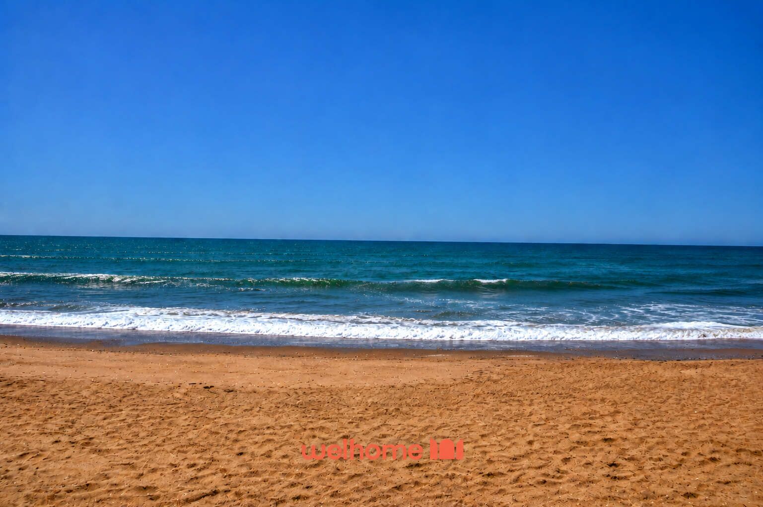 Plage à proximité