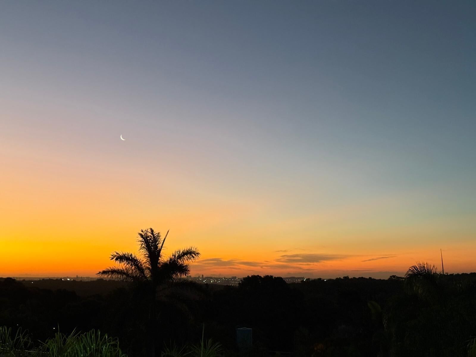 Un coucher de soleil avec la silhouette d’un palmier se détachant sur un ciel aux couleurs dégradées.