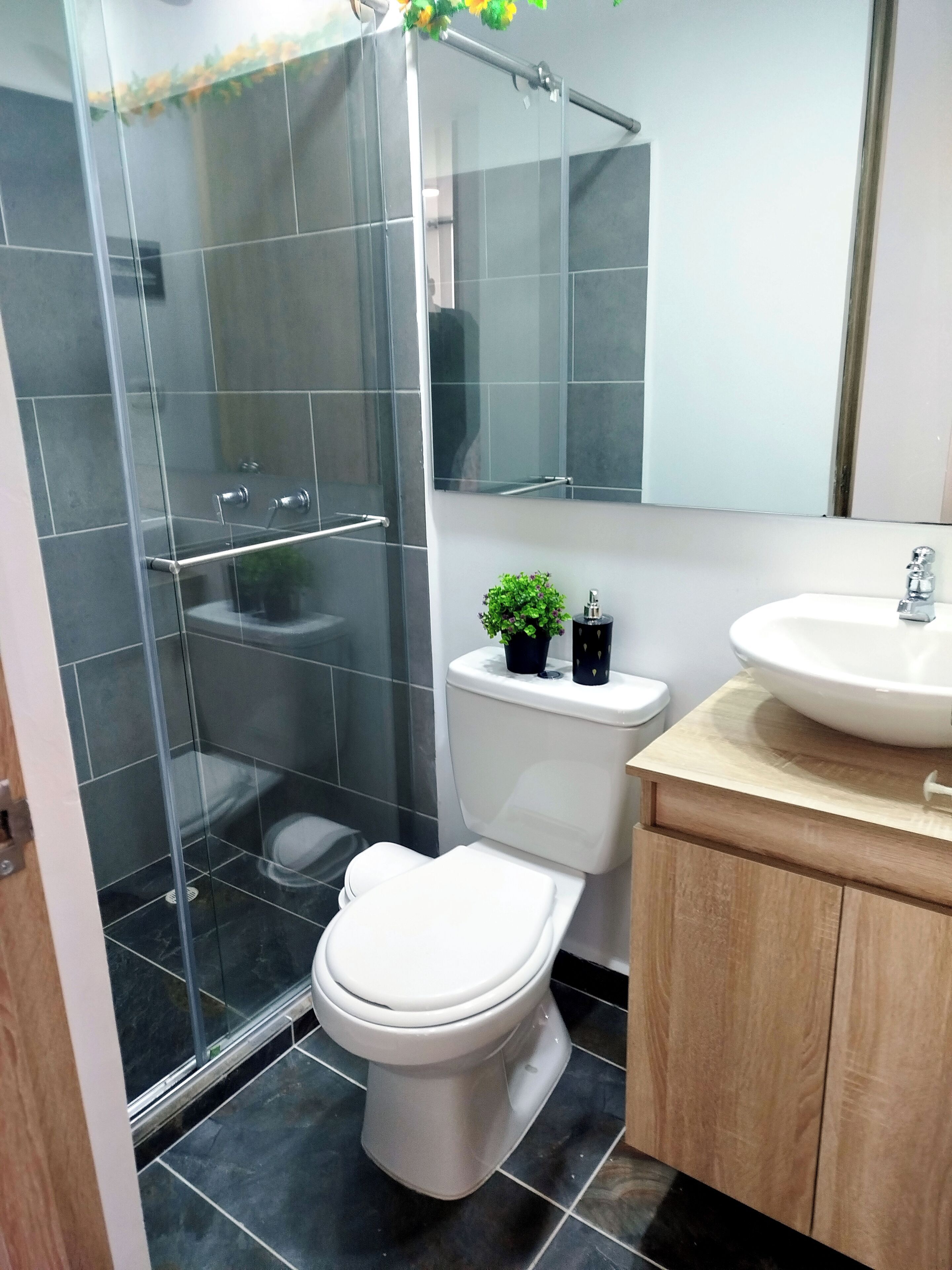 Hair dryer, towels, soap, toilet paper