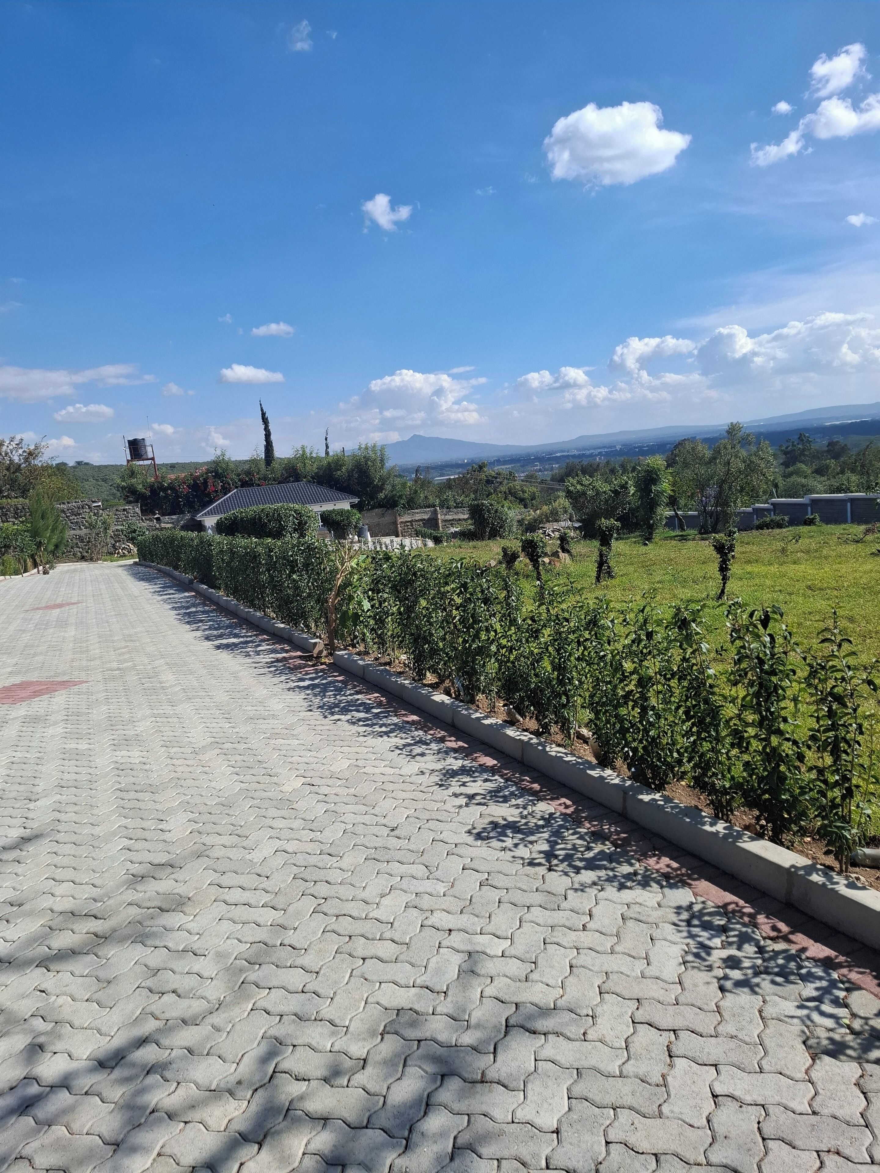 Un sendero pavimentado que conduce a un edificio con techo de tejas, rodeado de vegetación y un cielo despejado.