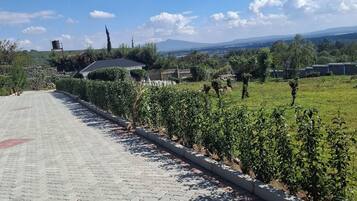 Un sendero pavimentado que conduce a un edificio con techo de tejas, rodeado de vegetación y un cielo despejado.