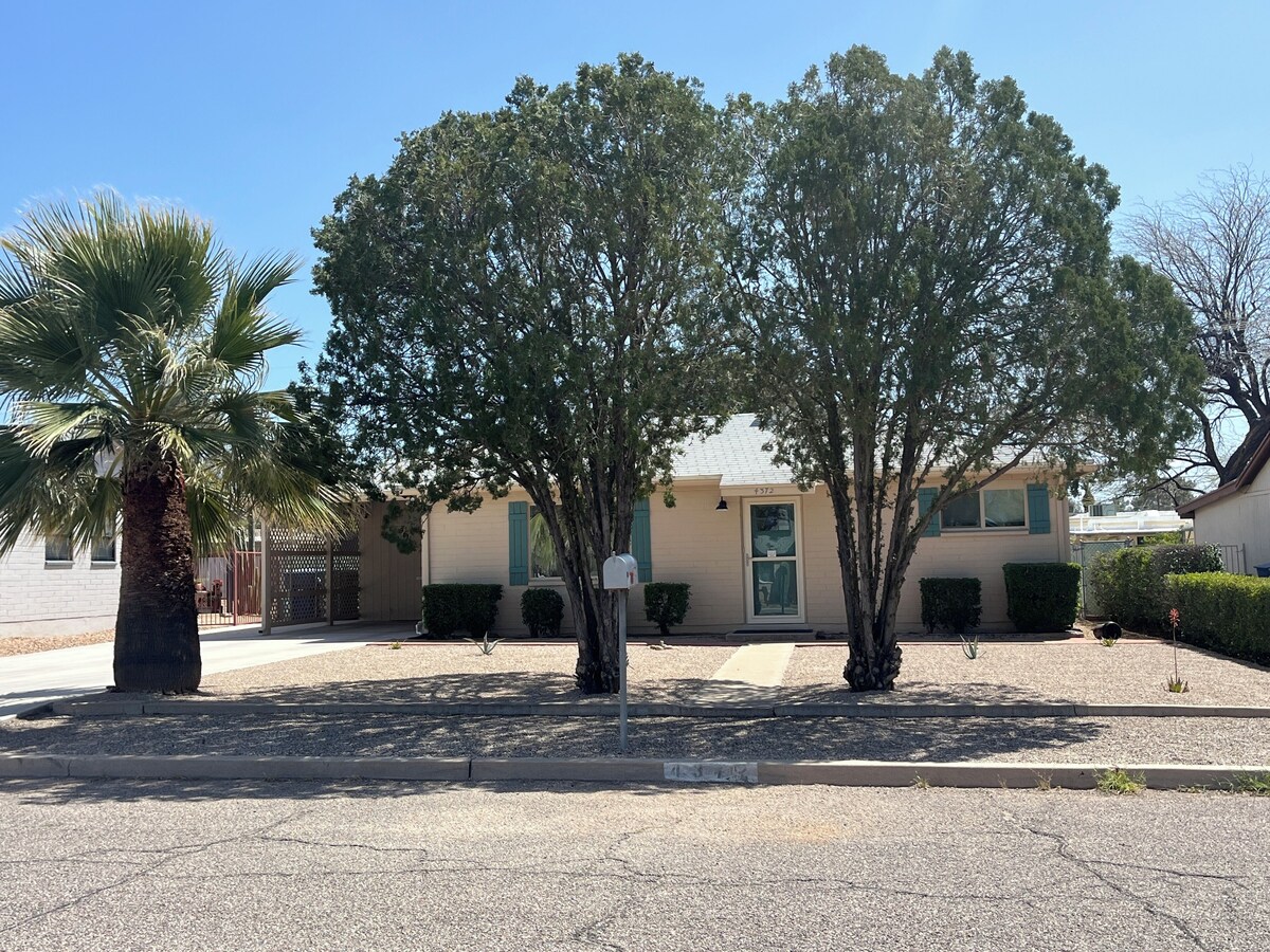 Imagen de perfil del propietario o de la propietaria