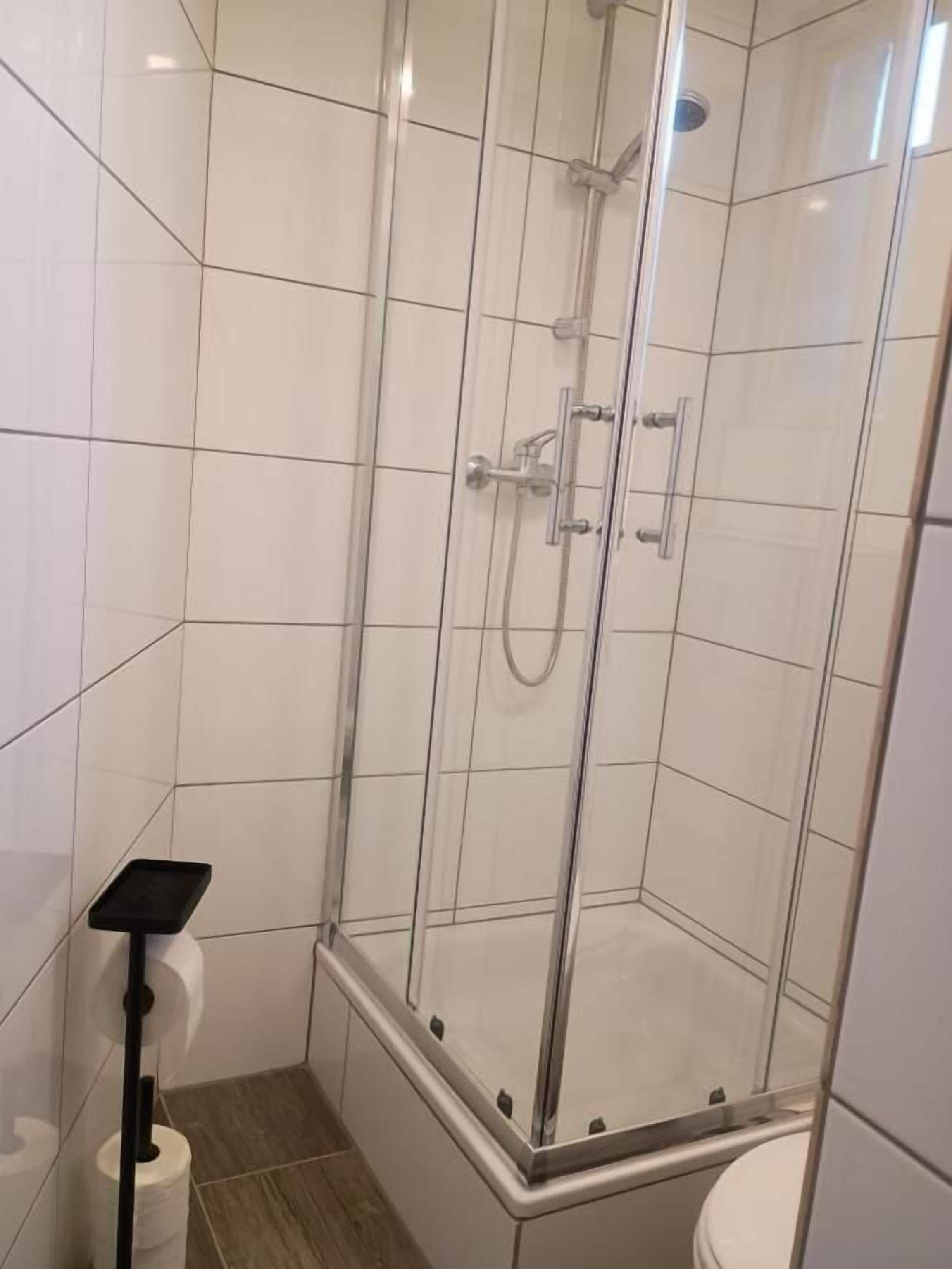 A glass-enclosed shower with a handheld showerhead and a handheld faucet.