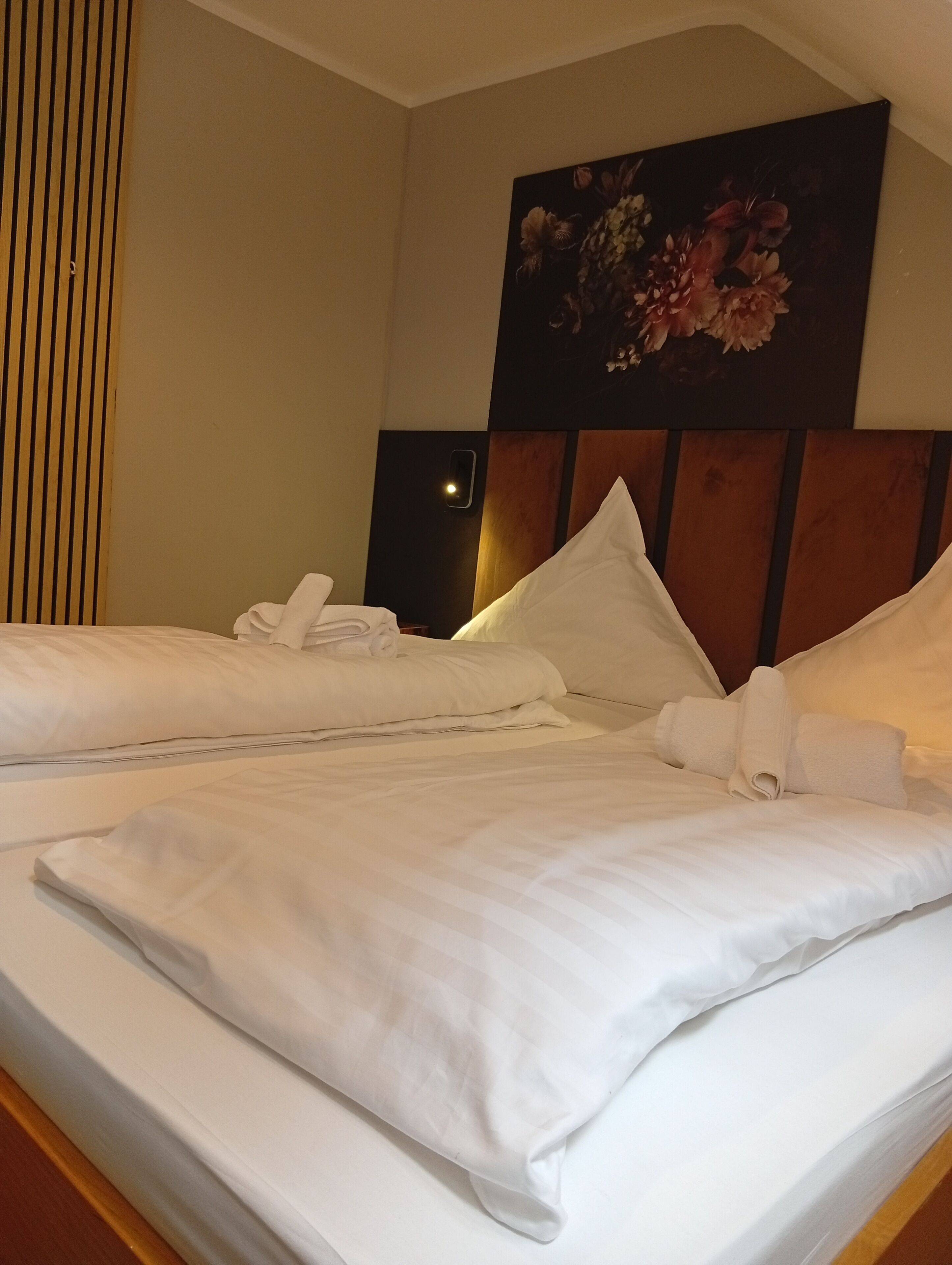 واي فاي مجانًا