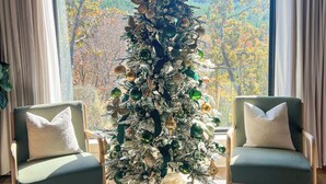 Un sapin de Noël dans une pièce dotée de grandes fenêtres, de deux fauteuils verts et d’un tapis.
