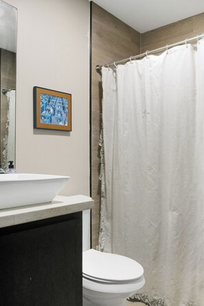 Hair dryer, towels, soap, toilet paper