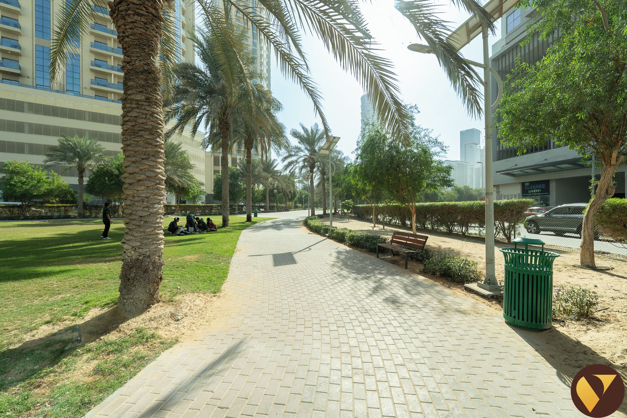 A paved walkway lined with palm trees and benches, leading to a building with a glass facade.