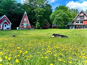 Exterior - Gnome Home (Campton)