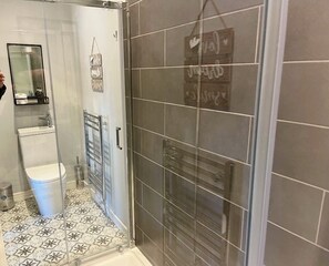 Shower, towels, toilet paper