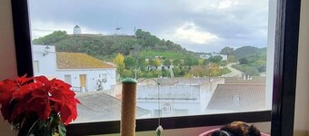 HuesPet&You (a special place for pets and families in idyllic surroundings)