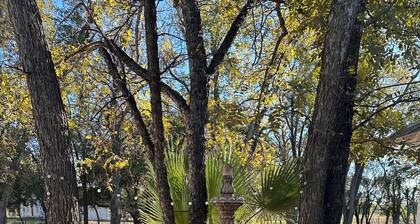 The Palms of Del Rio-History at Its Best