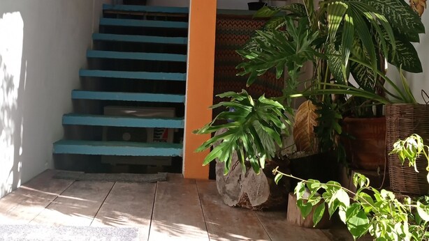 A staircase with blue steps leading to a door, surrounded by potted plants and a hanging blue lantern. - Colorful room very close to the beach. Only one lot behind the best beach | 2 (Holbox Island)