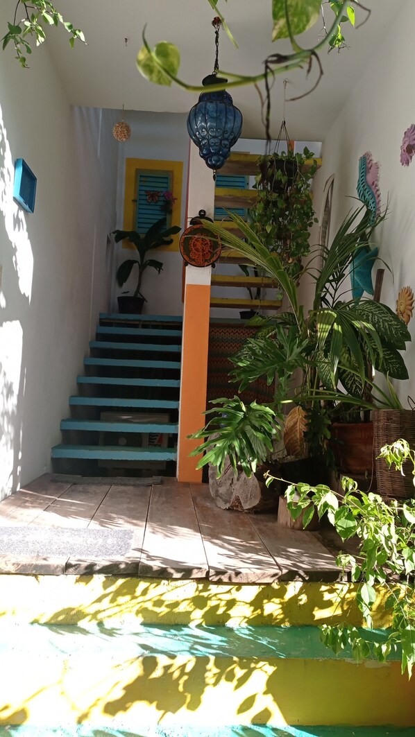 A staircase with blue steps leading to a door, surrounded by potted plants and a hanging blue lantern.