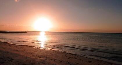 Colorful room very close to the beach. Only one lot behind the best beach | 2