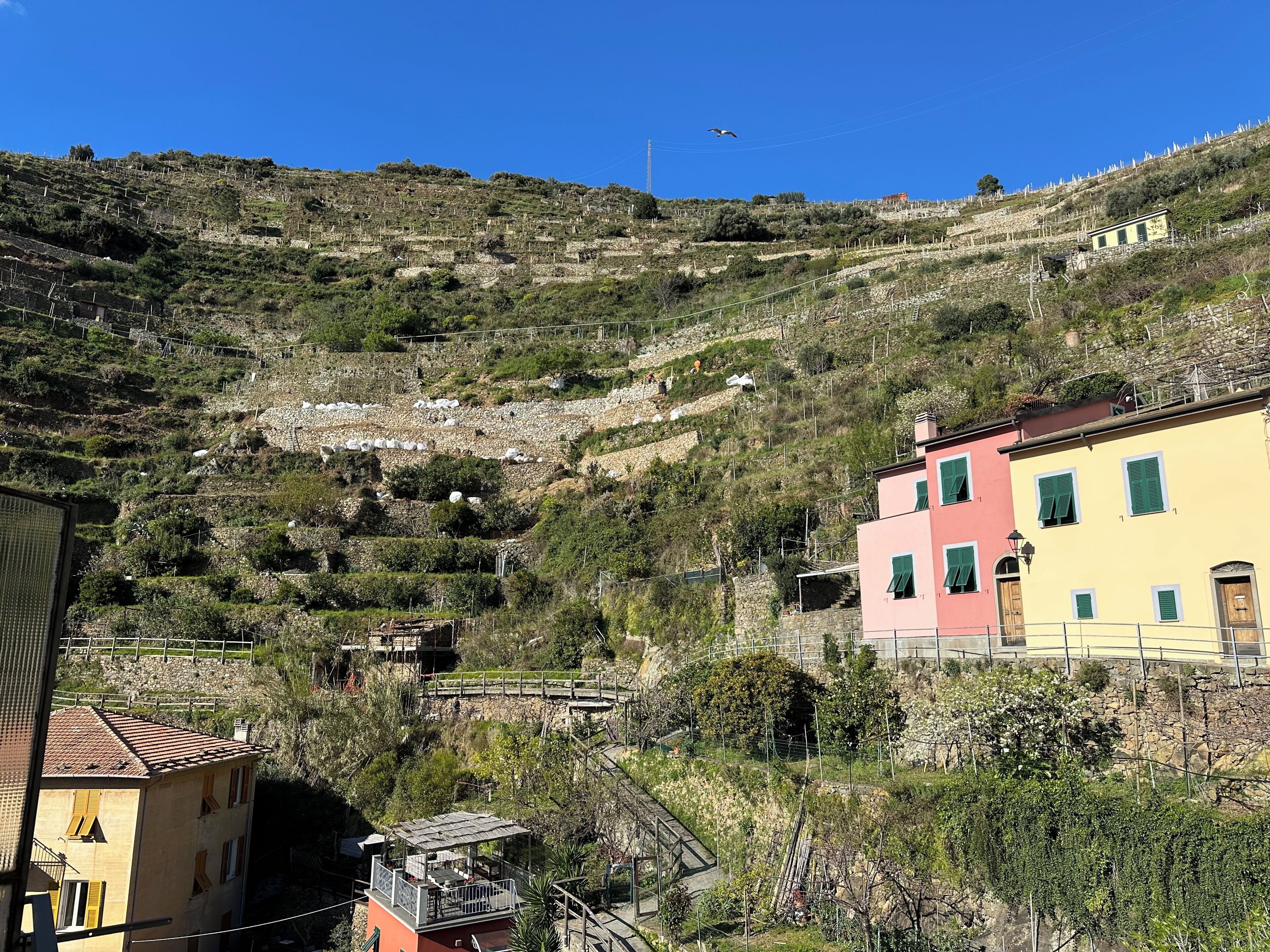 Un pendio coltivato a vigneti a terrazza, un edificio giallo con persiane verdi e un edificio rosso con un balcone.