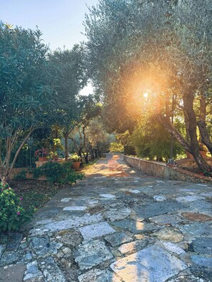 Parco della struttura