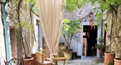 La Corte del Governo 565