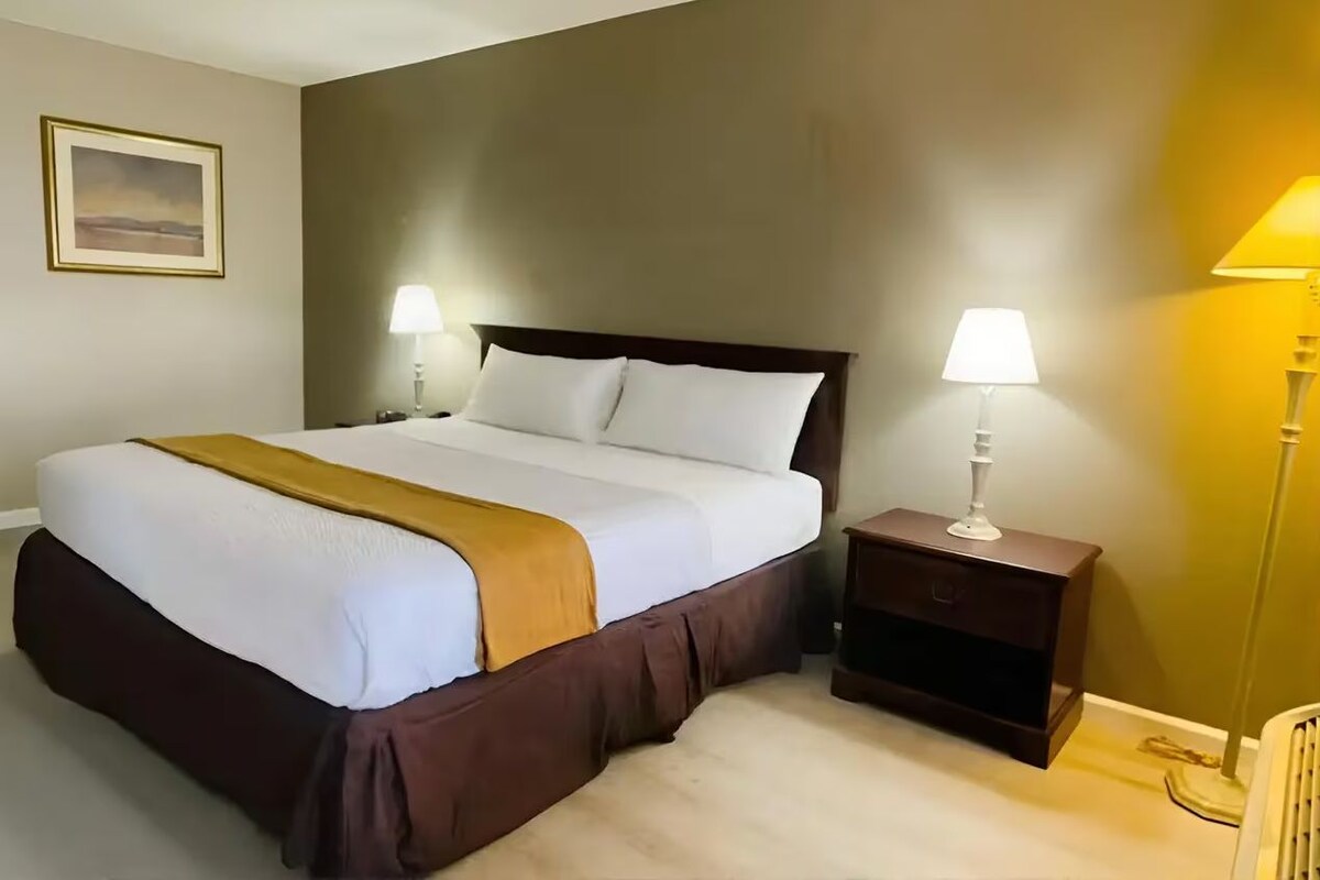 Habitación de hotel con una cama grande, dos mesitas de noche con lámparas, un cuadro enmarcado en la pared y suelo alfombrado.