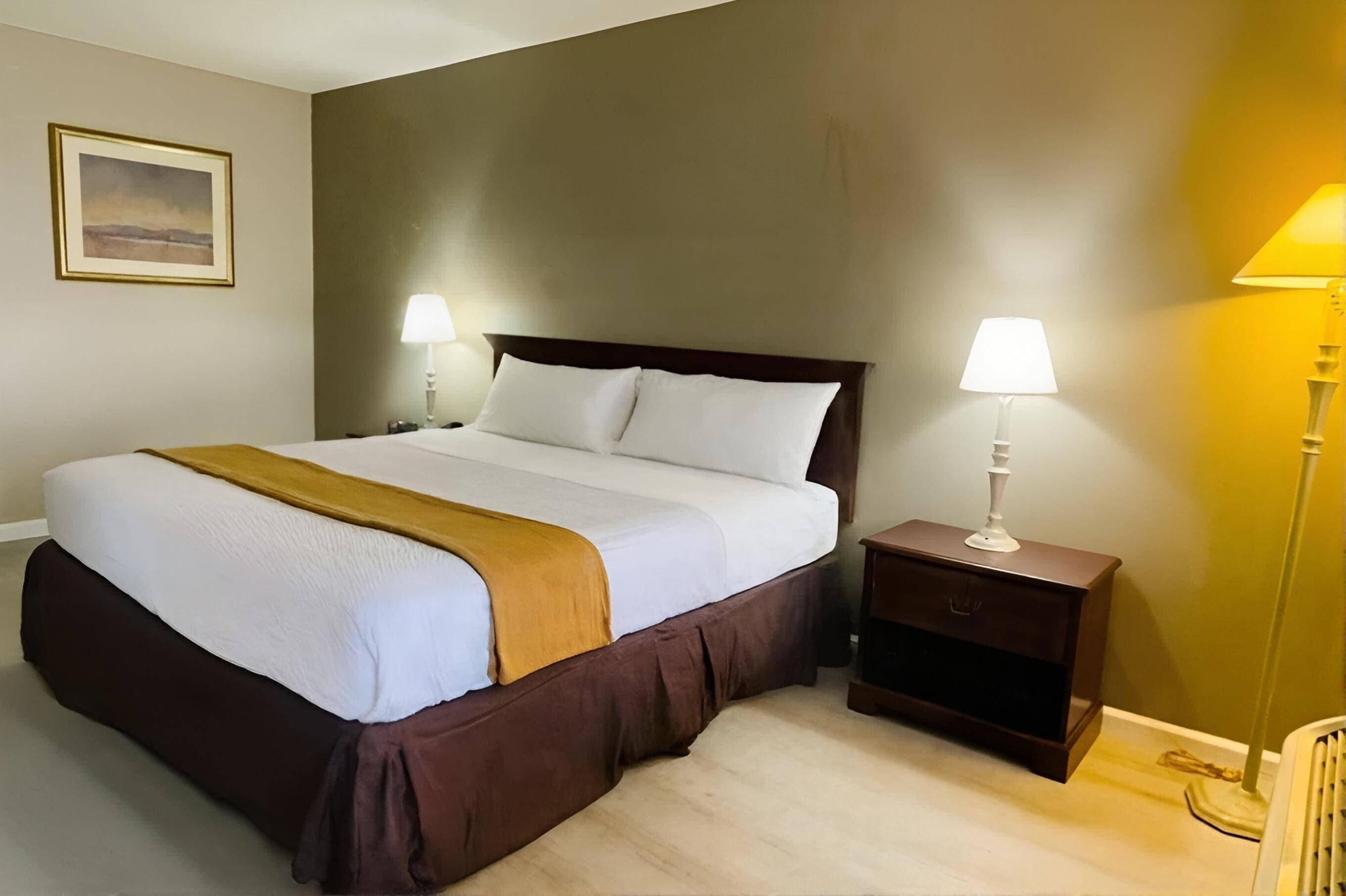 Room, 1 King Bed, Non Smoking (Efficiency) | Free WiFi