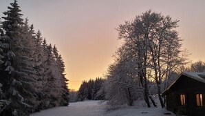 Schneebedeckte Landschaft mit einer Holzhütte und dichten Nadelbäumen.
