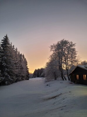 Exterior - Haus Martha - Top modern apartment in the countryside in the beautiful Westerwald (Willingen)