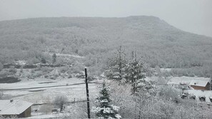 Miscellaneous - Spacious 4-bedroom villa in marvelous Mavrovo with AC (Mavrovo)