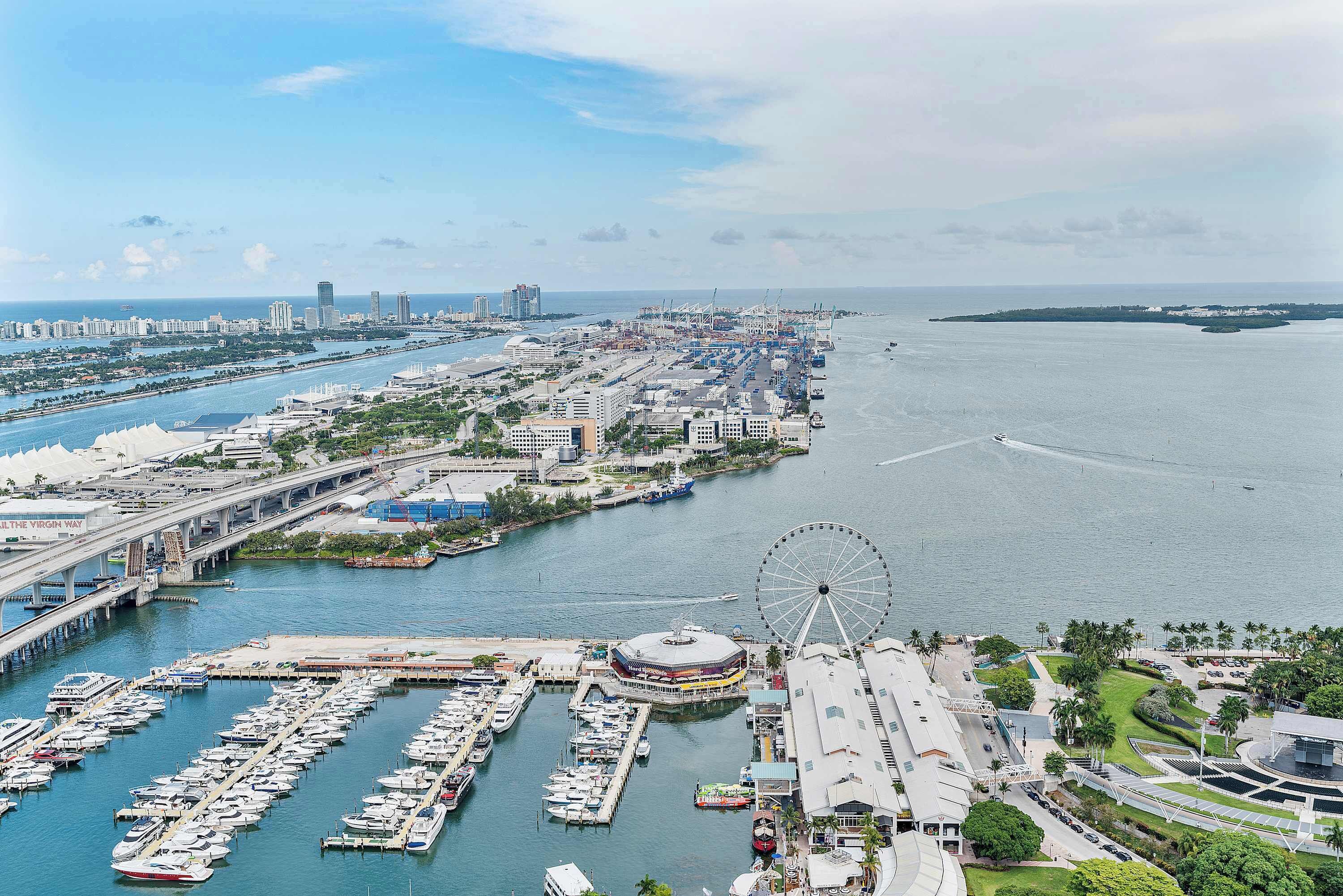 A marina with boats, a Ferris wheel, and a bridge.
