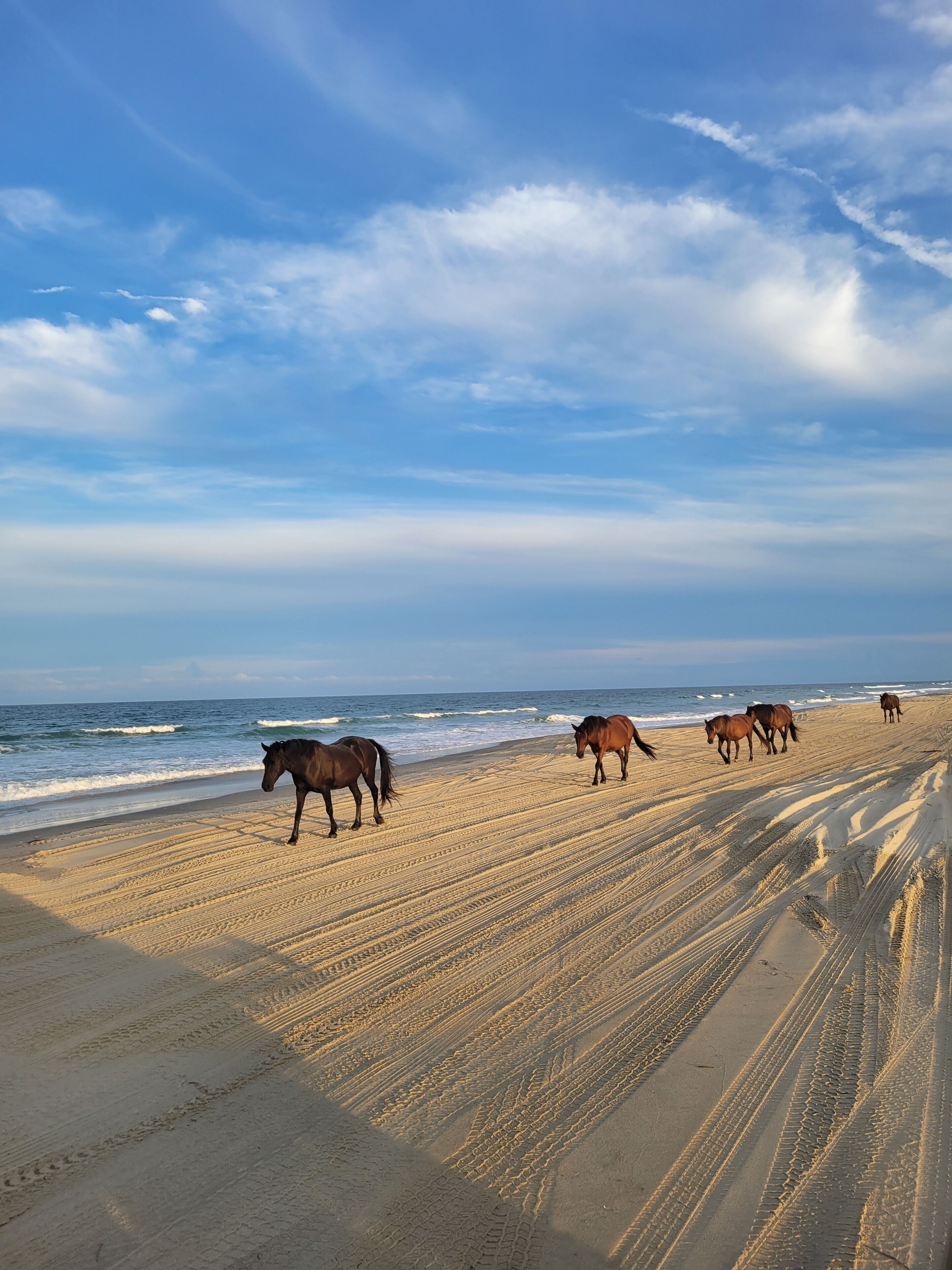 Liegestühle, Strandtücher