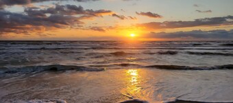 Wild Horses - 4x4 Beach - Quiet & Cozy